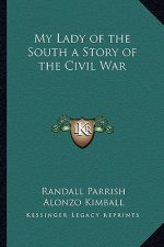 My Lady of the South a Story of the Civil War