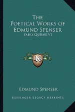 The Poetical Works of Edmund Spenser: Faery Queene V1