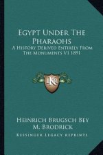 Egypt Under The Pharaohs: A History Derived Entirely From The Monuments V1 1891
