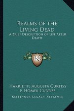 Realms of the Living Dead: A Brief Description of Life After Death
