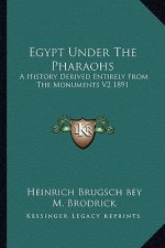 Egypt Under The Pharaohs: A History Derived Entirely From The Monuments V2 1891