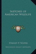 Sketches of American Wildlife