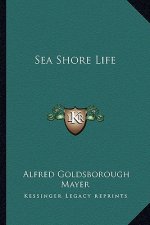Sea Shore Life
