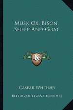 Musk Ox, Bison, Sheep and Goat