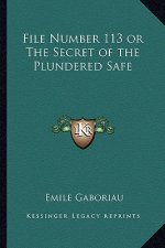 File Number 113 or the Secret of the Plundered Safe