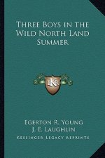 Three Boys in the Wild North Land Summer
