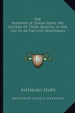The Prisoner of Zenda Being the History of Three Months in the Life of an English Gentleman