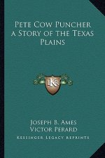 Pete Cow Puncher a Story of the Texas Plains