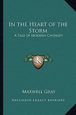In the Heart of the Storm: A Tale of Modern Chivalry