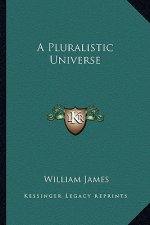 A Pluralistic Universe