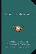 Roadside Meetings