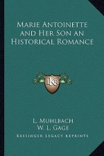 Marie Antoinette and Her Son an Historical Romance