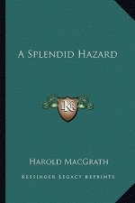 A Splendid Hazard