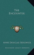 The Encounter