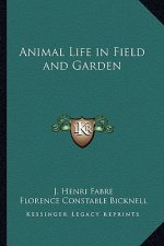 Animal Life in Field and Garden
