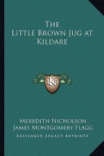 The Little Brown Jug at Kildare