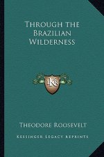 Through the Brazilian Wilderness