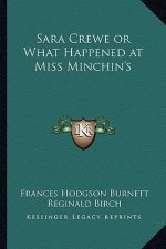 Sara Crewe or What Happened at Miss Minchin's