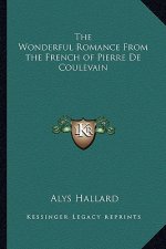 The Wonderful Romance from the French of Pierre de Coulevain