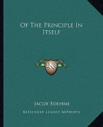 Of the Principle in Itself