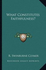 What Constitutes Faithfulness?