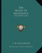 The Secret of Abundance: The Poverty Cure