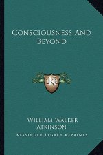 Consciousness and Beyond