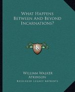 What Happens Between and Beyond Incarnations?