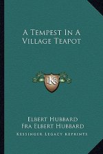 A Tempest in a Village Teapot
