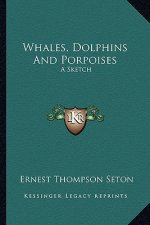 Whales, Dolphins and Porpoises: A Sketch