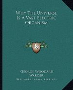 Why the Universe Is a Vast Electric Organism