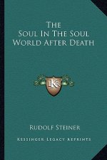 The Soul in the Soul World After Death