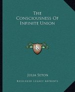The Consciousness of Infinite Union