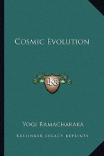Cosmic Evolution