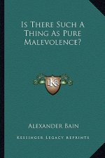 Is There Such a Thing as Pure Malevolence?