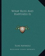 What Bliss and Happiness Is