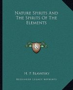 Nature Spirits and the Spirits of the Elements