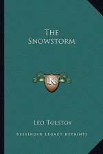 The Snowstorm