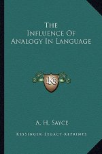 The Influence of Analogy in Language