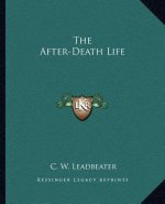 The After-Death Life