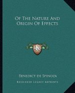 Of the Nature and Origin of Effects