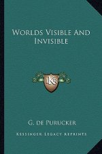 Worlds Visible and Invisible