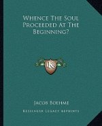 Whence the Soul Proceeded at the Beginning?