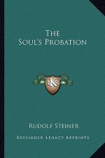 The Soul's Probation