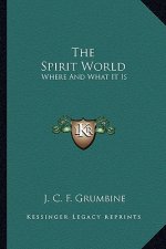 The Spirit World: Where and What It Is