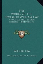 The Works of the Reverend William Law: A Practical Treatise Upon Christian Perfection V3