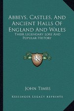 Abbeys, Castles, And Ancient Halls Of England And Wales: Their Legendary Lore And Popular History