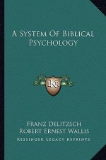 A System of Biblical Psychology
