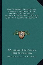 New Testament Theology or Historical Account of the Teaching of Jesus and of Primitive Christianity According to the New Testament Sources V1