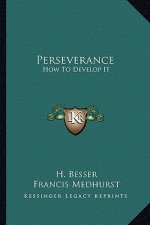 Perseverance: How to Develop It